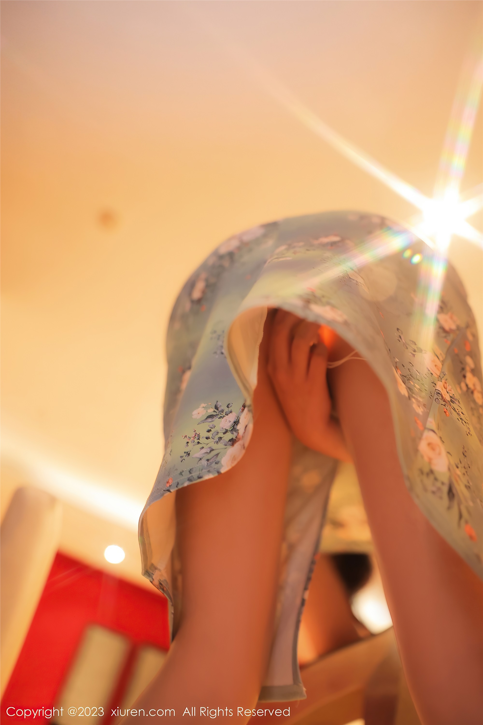 XiuRen秀人网  2023.03.24 NO.6464 Arude薇薇